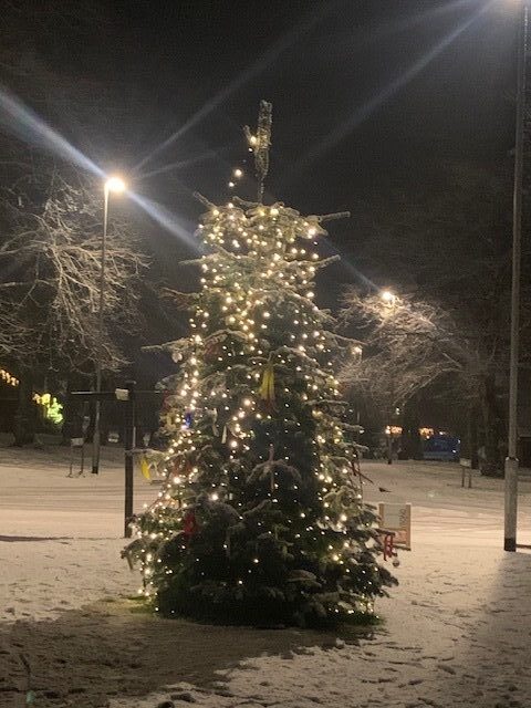 Christmas Tree on East Drive,, K Bould