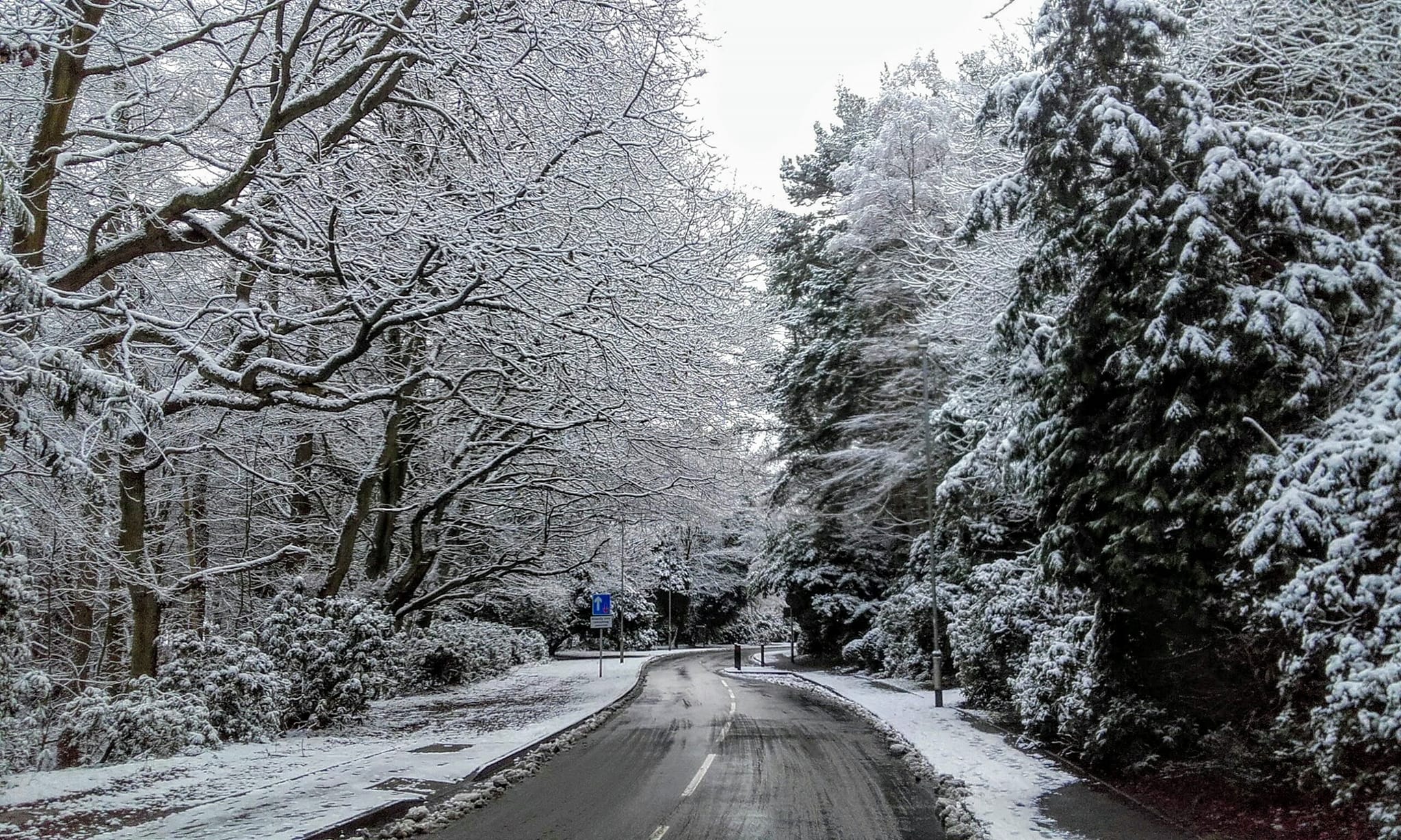 Winter road, L Price